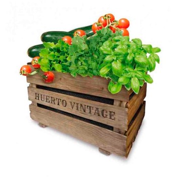 Caja huerto vintage eco