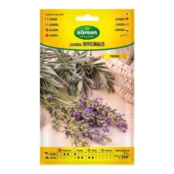 Sobre con semillas de lavanda officinalis