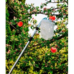 Recogedor de frutas telescopico extensible de 130-240cm grouw